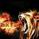 ШЭР ТЭЗКОР АКФА