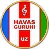 HAVAS GURUHI