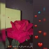 لُِـوز وسُـڪـر ♥️🍭
