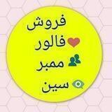 ممبر آنلاین