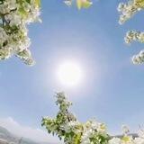 ♡Dimensi🌞nswechsel ♡Chat 2Q21 🇨 🇷 🇾 🇸 🇹 🇦 🇱 🇪 🇳 🇪 🇷 🇬 🇾 🕯️Lasse Dein Licht hell Leuchten 💛