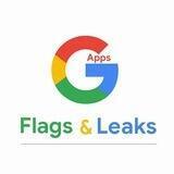 GApps Flags & Leaks