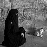 ﮼نور﮼