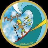 MicSurfer