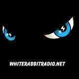 White Rabbit Radio Live