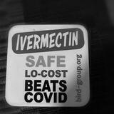 Ivermectin, Doxycycline, Azithromycin and HCQ!!!