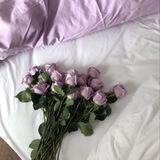 ريانه العود 🌿.