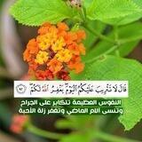 🌸أروع الحالات🌺