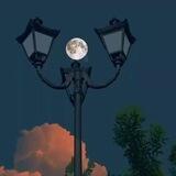 ‌ ‌ ‌‌‌ 𝑻𝒉𝒆 𝒎𝒐𝒐𝒏🌙
