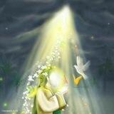 『 يامهدي مدد🕊🌿』³¹³