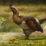 Reptiles & Archosaurs