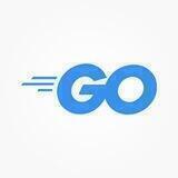 Библиотека Go разработчика