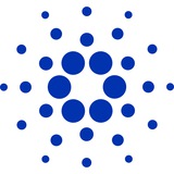 5 Phút Cardano Việt Nam ANN