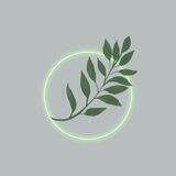 𓆩آيــ🌿ـة𓆪.