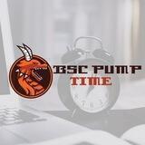 Bsc Pump Time⏰🚀🌔