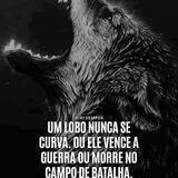 ꦿŞΔβ€Ř ĐØ ҉ Ş ŁØβØ᬴⃝Ş🐺