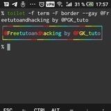 Team Free Tuto and Hacking