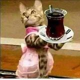 #يـوميـات_ذمـاري