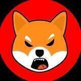 SHIBA!!! China 🇨🇳