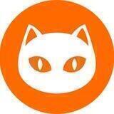Ninneko Official