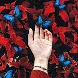 🦋⚘keçik|کچێک⚘🦋