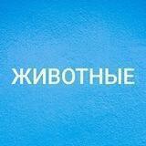 ЖИВОТНЫЕ ХАРЬКОВ