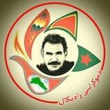 دموکراسی رادیکال
