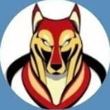 广州狼友出击大队🐺