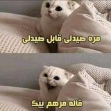 اوعي تكرفس وشك😂
