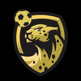 Cheetabet - چیتابت