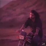 |پارادایسِ‌ دل‌‌شکسته‌ها|