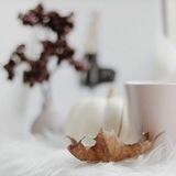 نسمة فتاة سلفية🌸🌾