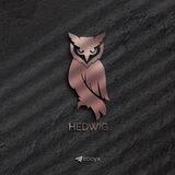 HEDWIG🦉🪄