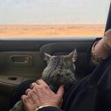 جَذل .