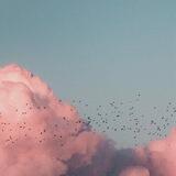 𝕃𝕆ℕ𝔼𝕃𝕐 ℂ𝕃𝕆𝕌𝔻 ☁️.