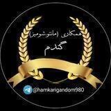 همکاری(مانتو،شومیز)گندم