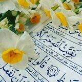✨قرآن در زندگى✨