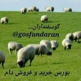 دام داران و گوسفنداران کشور