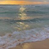 Ocean Inside | Psychology