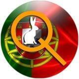 Qlobal-Change Portugal 🇵🇹