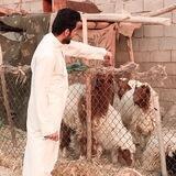 الشاعر ياسين الصالحي | Yasin Al_salhy
