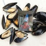 De Bataafse Mossel