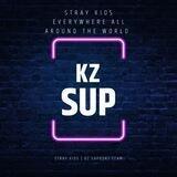KZ | SUPPORT TEAM