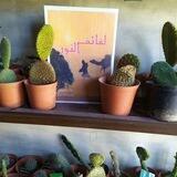 لفائِفُ النُّـور🌻