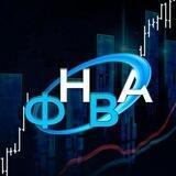 Mr. Profit (ФНВА)