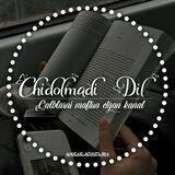 CHIDOLMADI DIL🖤