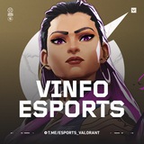 VALORANT ESPORTS | VINFO
