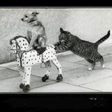 Паулова Ольга Chat