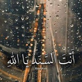 محب الرحمن "تسويق الكتروني"