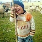 ملوك الضحك ونكت معنا بتنسى همومك🤞🥳😂